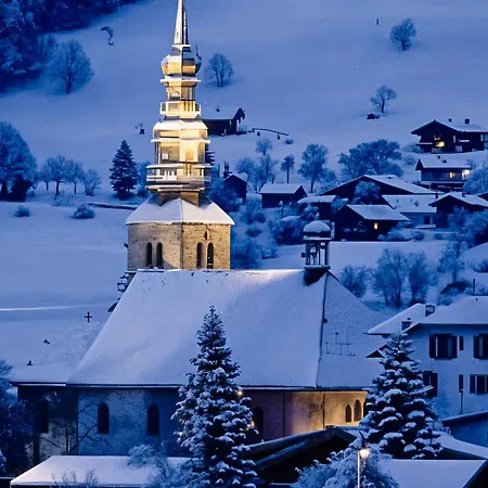 Ecrin Cosy, Calme, Terrasse, Nature Et Montblanc